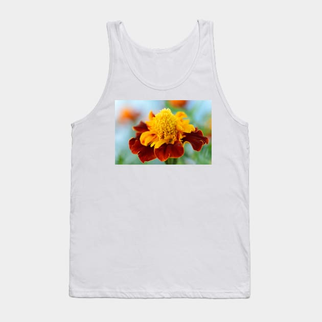 Tagetes patula  &#39;Mowgli Bicolour&#39;  Dwarf French marigold Tank Top by chrisburrows